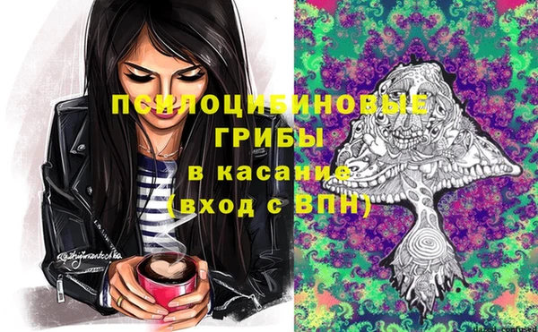 кокс Алзамай