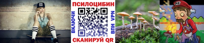 Псилоцибиновые грибы Psilocybe  закладки  Аргун 