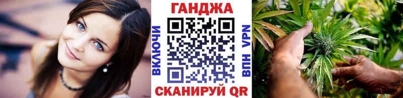 Конопля планчик  Аргун 